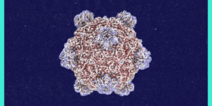 roundtables:-a-conversation-with-the-creator-of-ai-designed-viruses